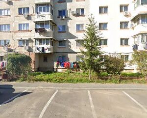 Ciu Sty Serv S.R.L. Bd. Dacia