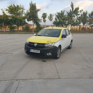 I.I.Marinescu Mircea-Stefan