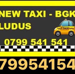New Taxi BGK Ludus Strada Zăvoiului