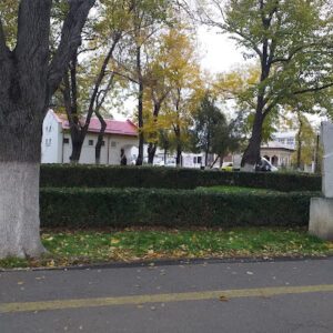 Parc Strada Carpați