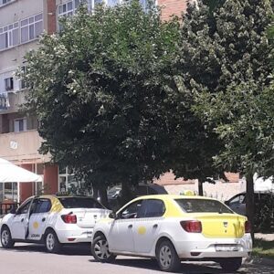 Steaua Taxi Strada Văilor 8