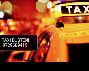 TAXI BUSTENI Strada Paltinului 2