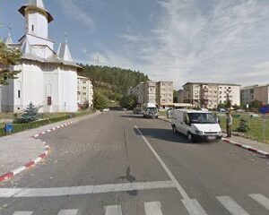TAXI Comanesti BC 16 SRF langa catedrala