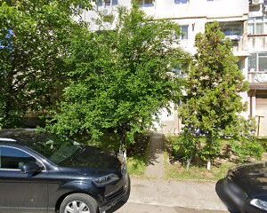Taxi Bals GabiStef Strada Nicolae Bălcescu 50