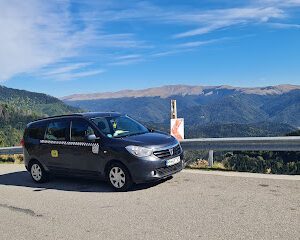 Taxi Busteni Bulevardul Libertății 206