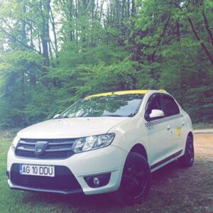 Taxi Curtea de Arges DDU Bulevardul Basarabilor