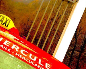 Taxi Hercule Baile Herculane(Dispecerat Non-Stop) Strada Castanilor 3