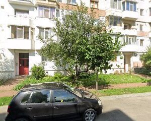 Taxi XXL Strada Pinului 30